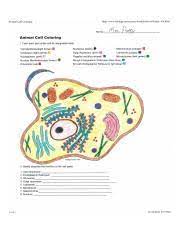 All formats available for pc, mac, ebook readers and other mobile devices. Amimal Cell Coloring Sheet Jpg Animal Cell Coloring Http Www Biology Corner Com Worksheets Ce Sheets Cellcolor Old Html Mrs Potter Animal Cell Course Hero