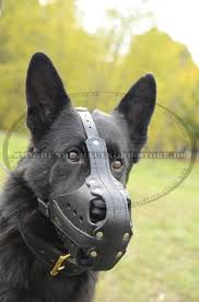 We did not find results for: Hunde Maulkorb Haltbar Hunde Maulkorb Deutscher Schaferhund