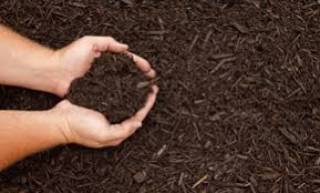 Walmart.com has been visited by 1m+ users in the past month Top 10 Best Mulch Topsoil Services In Charlotte Nc Angi Angie S List