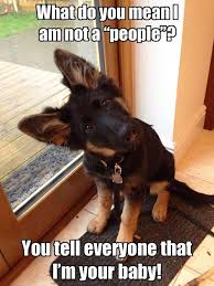 Thank You Webbie We Can Post Pictures Now Join In The Fun Funny Animals Funny Animal Jokes Animal Jokes
