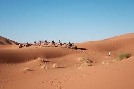 Desertul sahara este cel mai mare deșert fierbinte din lume, care se întinde pe o suprafață masivă de kilometri pătrați 8,600,000. Ce InseamnÄ Sahara Asa Casastiti