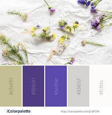 Play with palette brightness and. 20753 Flower Color Palette Ideas In 2021 Icolorpalette