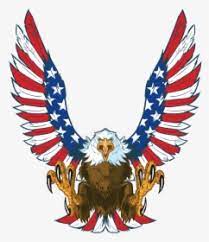 Different styles of eagle png images. American Eagle Png Images Free Transparent American Eagle Download Kindpng