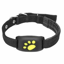 Pet Collars Gps Trackers Dog Cat Water Resistant Callback Function Usb Universal Ebay Pet Tracker Pet Gps Dog Tracker