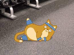 Let S Get In Shape Cats Cute Gif Animation