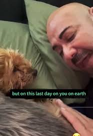 Chico The Dog Died in Owners Arms