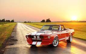 Sport Old Cars Cars Mustang Dream Cars Classic Cars