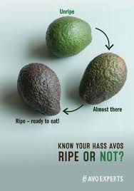 Jul 31, 2020 · if the stem comes off easily and you see green, it's good to eat. How To Tell If An Avocado Is Ready To Eat How To Ripe