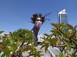 Check spelling or type a new query. Colocan Gigantescos Cubrebocas A Monumentos De Guadalajara