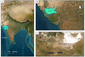 Image result for Hibiscus sidiformis
