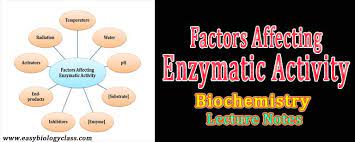 Rate Limiting Factors Of Enzyme Enzymes Activity Biochemistry Lectures Notes