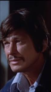 Mr. Majestyk: Vince Majestyk (Charles Bronson) is a Vietnam War veteran  trying to keep his watermelon farm afloat when he is approached by a crook  (Paul Koslo) who tries to force him into employing an ...
