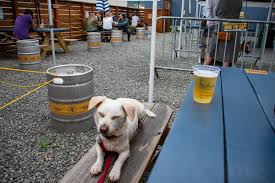 Next to nature is simply one of the best pet products stores in the northwest. A Dog S Guide To Seattle