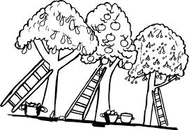 coloriage des pommiers a imprimer chat zentangle