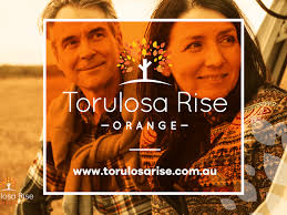 Lot 1, 1 1 Edye Cct, Orange, NSW 2800