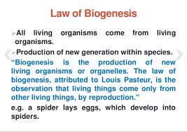 Dr D On Twitter Tkthatstrawman The Difference Between Biogenesis And Abiogenesis Here S Some Examples Or Maybe You Could Explain How Using Your Vast Wiki Knowledge Https T Co Bevj8dgx2l Twitter
