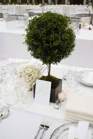 6 Ways To Use Mini Trees As Unexpected Wedding Decor Wedding Floral Centerpieces Topiary Centerpieces Topiary Wedding