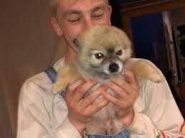 A Timeline of Aidan Stitt's Life