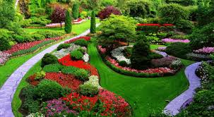 Aménager votre jardin peut augmenter la valeur de votre bien immobilier. Quelles Sont Les Etapes Pour Bien Amenager Son Jardin Tout Jardin Direct