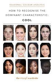 How To Recognise The Dominant Characteristic Cool Skin Tone Hair Color Colors For Skin Tone Skin Tone Makeup