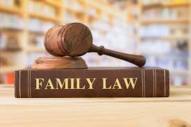 Image result for courtroom family law