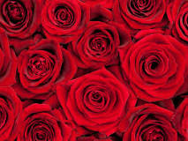 Image result
