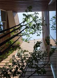 A Modern Japanese House With A Surprise Garden Inside Modern Japanese House Architecture Architect