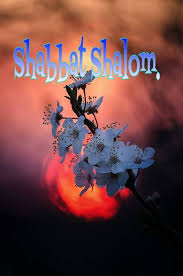 See more ideas about shabbat shalom, shabbat, jewish art. Shabbat Shalom Gallery Shabbat Shalom Shabbat Shalom Images Shabbat