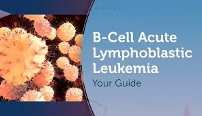 Till date 200 types of cancer have found to affect humans across the globe. B Cell Acute Lymphoblastic Leukemia Your Guide Myleukemiateam
