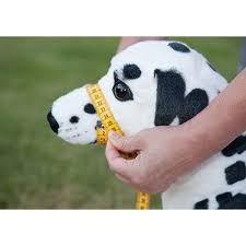 The pet store is now brought to you where you are, you can use any gadget that is able to access the internet and buy any animal you want and own it legally. Nature Pet Leckschutz Hundegiftkoderschutz Equisio Shop
