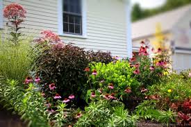 Hosta, shasta daisy, ajuga, perennial geranium and sedum are good choices for perennials to grow as companion plants for ninebark shrubs. Paths And Walkways The Gardener S Eden