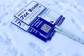 Image result for Bidens schimperi