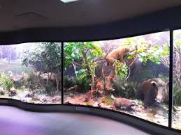 Muzeul de științe naturale è a 113 metri di distanza a piedi e ci si arriva in 2 minuti di cammino. Muzeul De Istorie Naturala Photo De Muzeul De Istorie Naturala Sibiu Tripadvisor