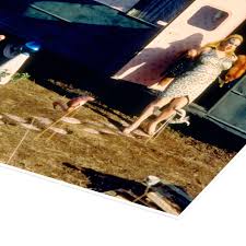 Image result for Pink 1972 Philco