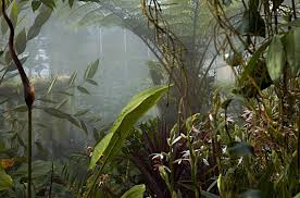 Misting kit ryobi misting kits and accessories are the ryobi misting kits and accessories are the easiest and most efficient way to provide the cool, comfortable surroundings you want. How To Build A Greenhouse Misting System Greenhouse Info