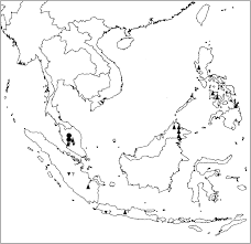 % виборчих бюлетенів, визнаних недійсними по україні. A Revision Of Cryptocarya R Br Lauraceae Of Peninsular Malaysia Springerlink