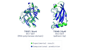 Check spelling or type a new query. Alphafold A Solution To A 50 Year Old Grand Challenge In Biology Deepmind