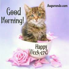 These friday greetings images, quotes, picture messages are absolutely free to download and share in popular platforms like facebook, whatsapp, twitter etc. Best Happy Weekend Images Always Updated Images