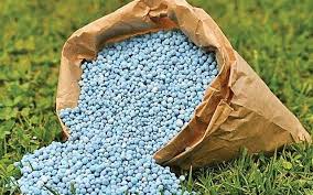 Hướng dẫn chọn phân bón cây cảnh và cách bón phân đúng kỹ thuật