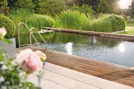 We did not find results for: Schwimmteich Planen Anlegen Pflegen Schoner Wohnen
