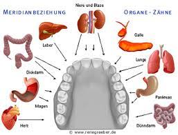 Zahnstorfelder Und Deren Auswirkungen An Jedem Zahn Hangt Ein Organ Informationen Und Inspirationen Fur Ein B Gesundheit Und Wellness Gesundheit Zahne