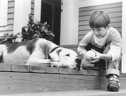 When someone finds your pet, our 24/7 hotline will connect them with you without delay. Homeward Bound The Incredible Journey 1993 Imdb