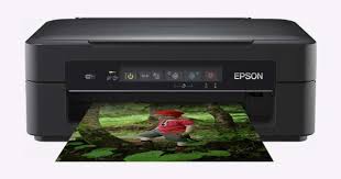 Entdecke rezepte, einrichtungsideen, stilinterpretationen und andere ideen zum ausprobieren. Epson Expression Home Xp 255 Driver Free Downloads Epson Drivers