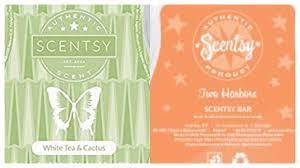 Get the best deal for scentsy white home décor from the largest online selection at ebay.com. Tester Tuesday 42 White Tea Cactus And Two Harbours Scentsy Reviews Youtube
