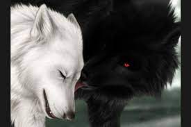 White wolf (band), a canadian heavy metal band. Are You A Black Wolf Or White Wolf