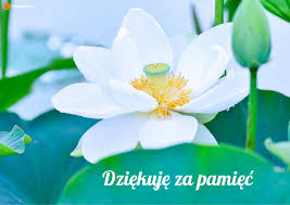 Contextual translation of dziękuję ci into english. Dziekuje Za Pamiec Kartka