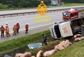 Doktor maut kereta terbabas di jempol. Lori Khinzir Terbabas Pemandu Cedera Ringan Astro Awani