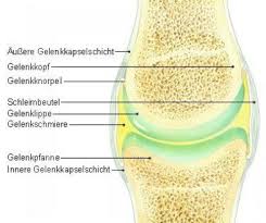 Synoviale Gelenke Schleimbeutel Altenpflege Gelenkschmiere