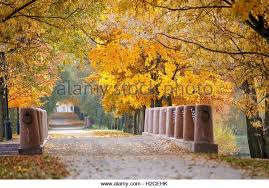 Image Result For Garden Center Blumenau Image Result For Garden Center Blumenau Image Result For Garden Center Blumenau I Family Garden Garden Center Garden