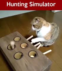 Jagd Simulator So Halten Sie Ihre Katze Besetzt Katze Interactive Cat Toys Cat Toys Cat Exercise
